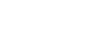 Vinnic Logo